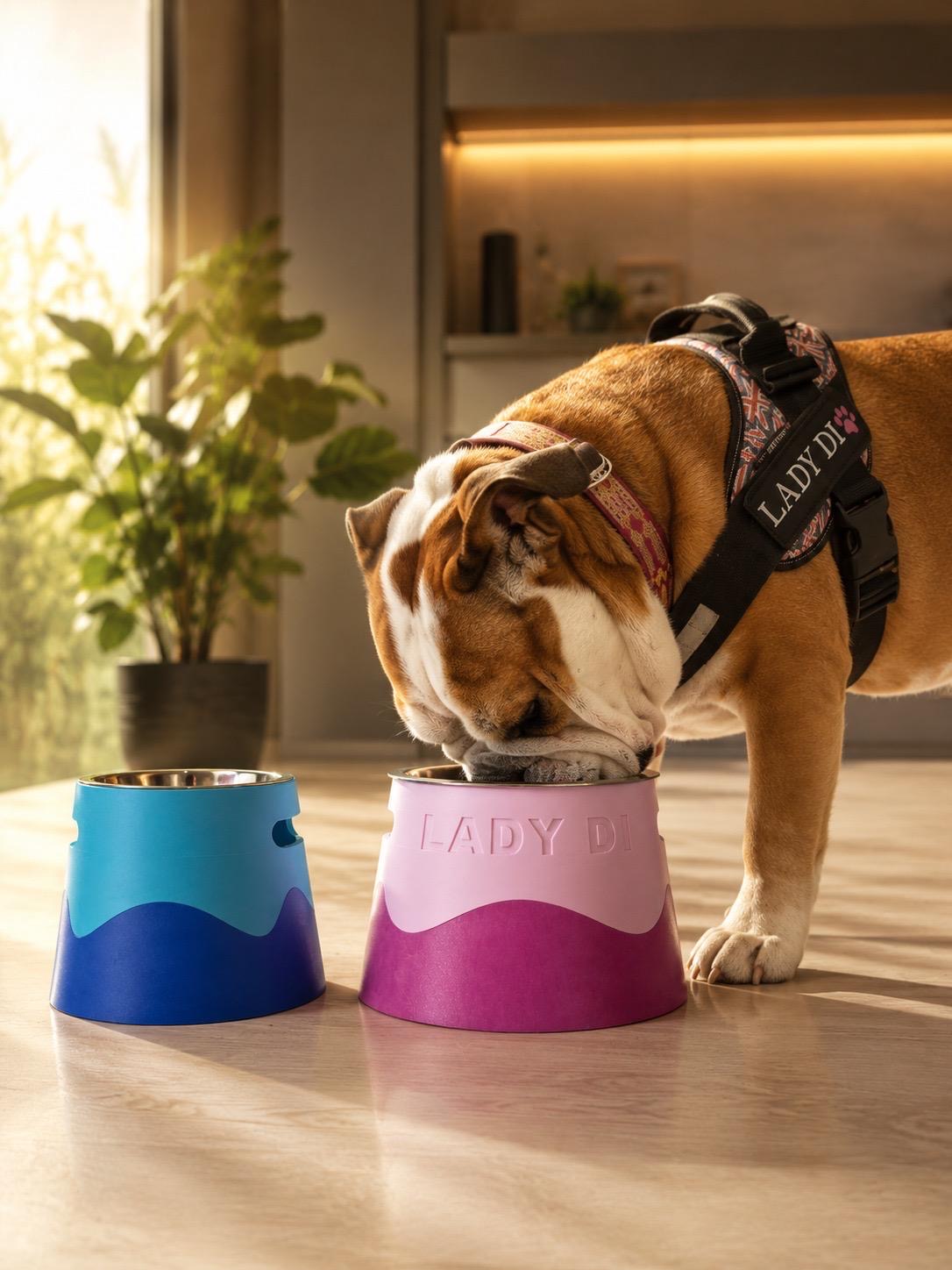 Comedero elevado personalizado para perros impreso en 3D con nombre — Dual 3D Printing Barcelona